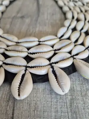 Collier Cauris rond 5