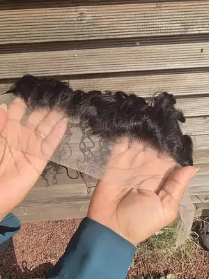 Lace frontale Italian Wave 3