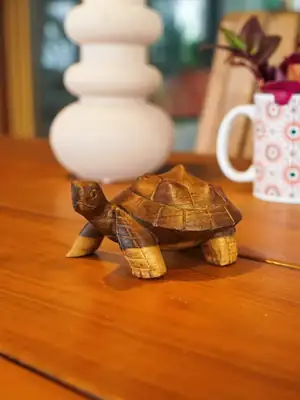 Petite tortue