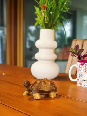 Petite tortue 5