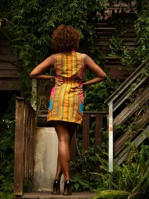 Mao Dashiki Dress (3 colors) 9